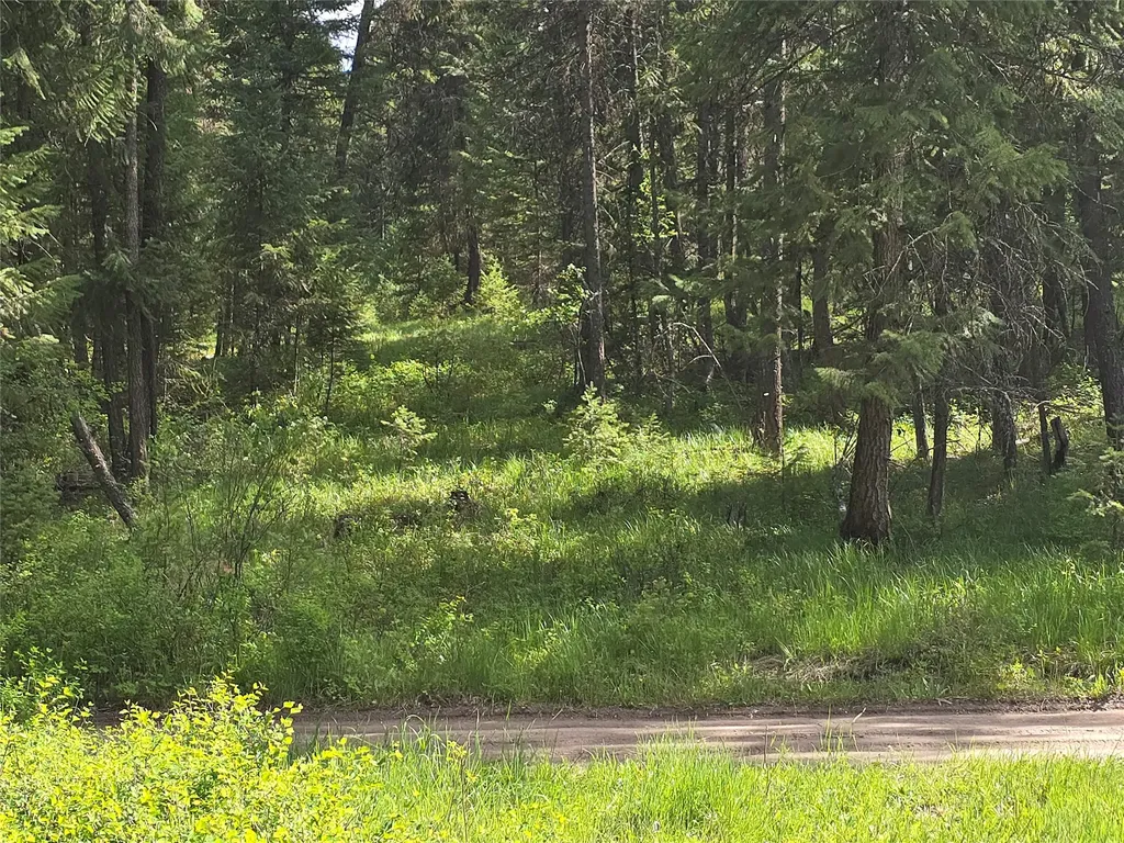 769 Lower Seven Mile Creek Road St Regis MT 59866