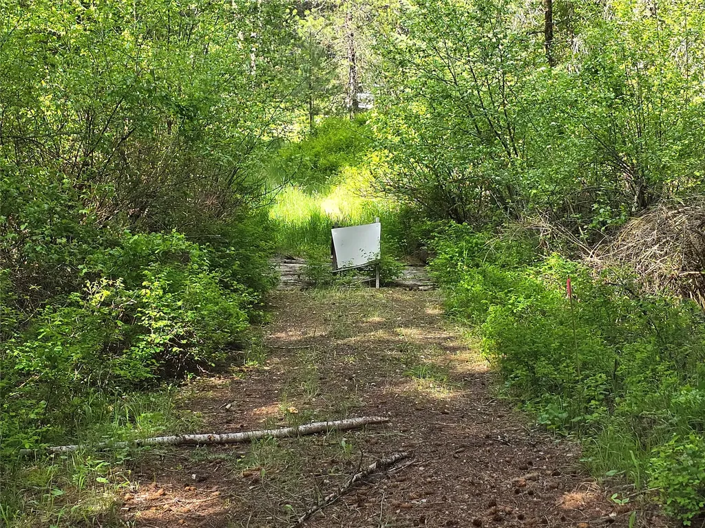 769 Lower Seven Mile Creek Road St Regis MT 59866