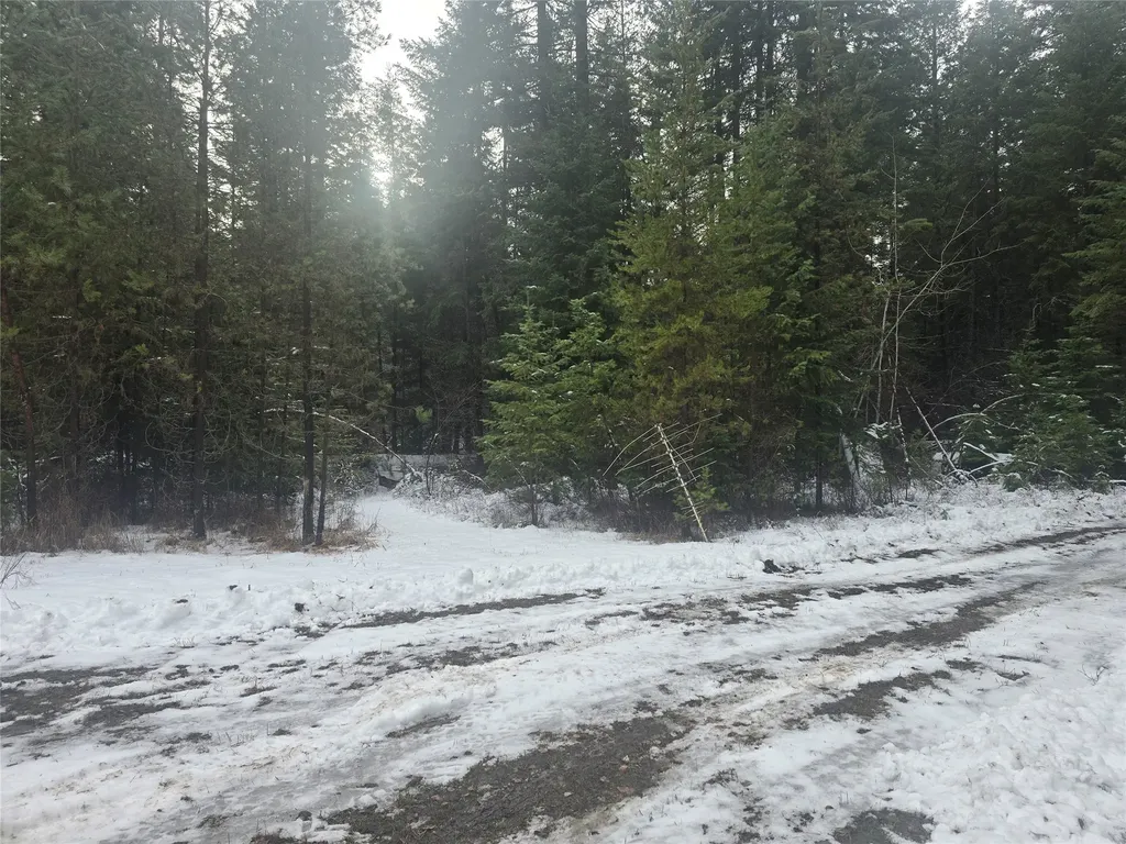 769 Lower Seven Mile Creek Road St Regis MT 59866