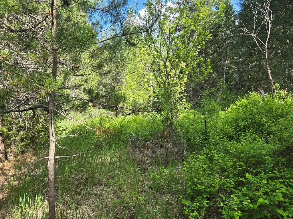 769 Lower Seven Mile Creek Road St Regis MT 59866