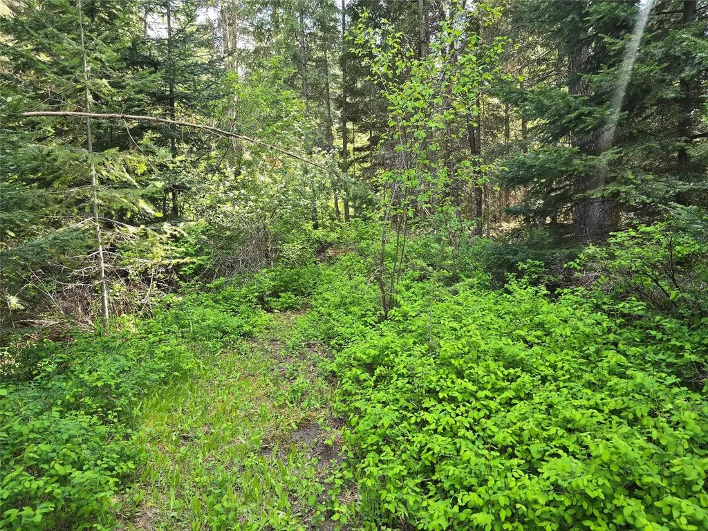 769 Lower Seven Mile Creek Road St Regis MT 59866