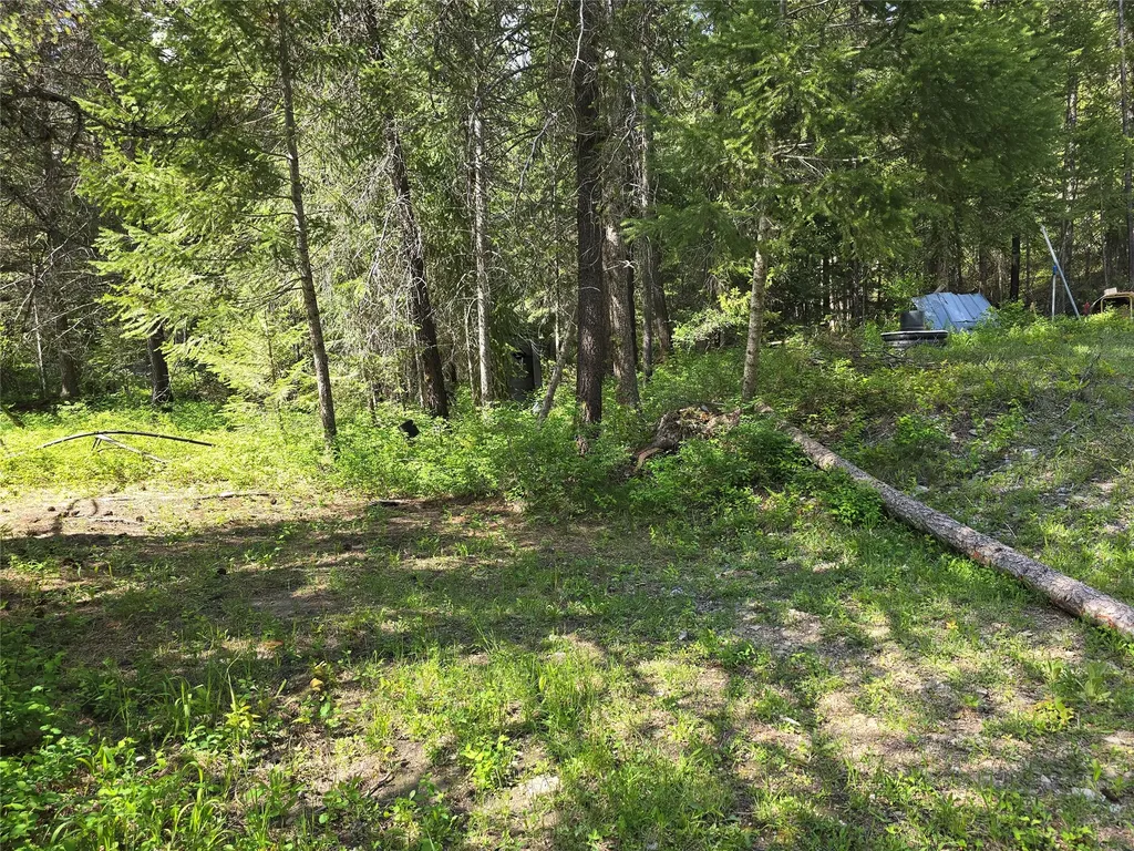 769 Lower Seven Mile Creek Road St Regis MT 59866