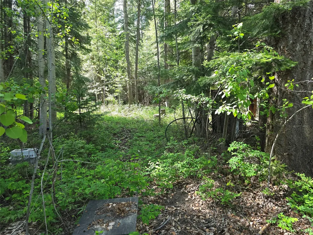 769 Lower Seven Mile Creek Road St Regis MT 59866