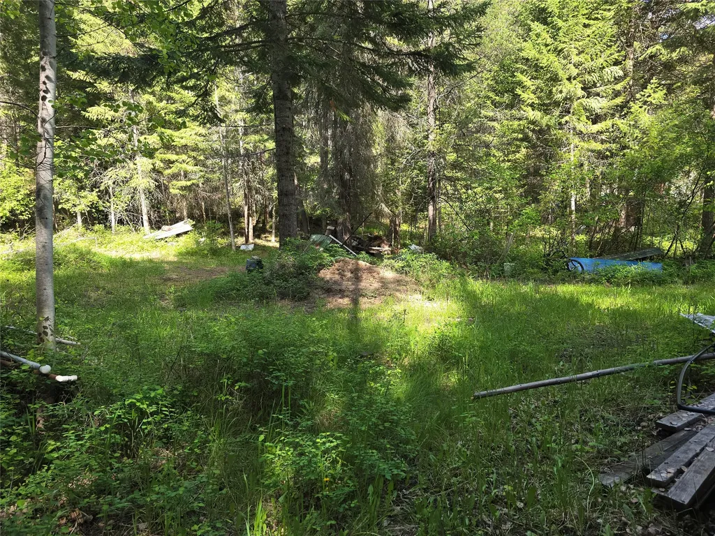 769 Lower Seven Mile Creek Road St Regis MT 59866