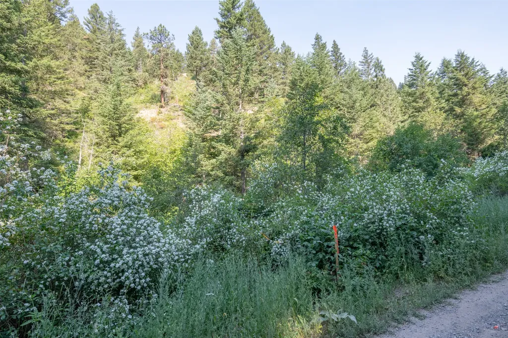 18866 Copper Ridge Trail Florence MT 59833