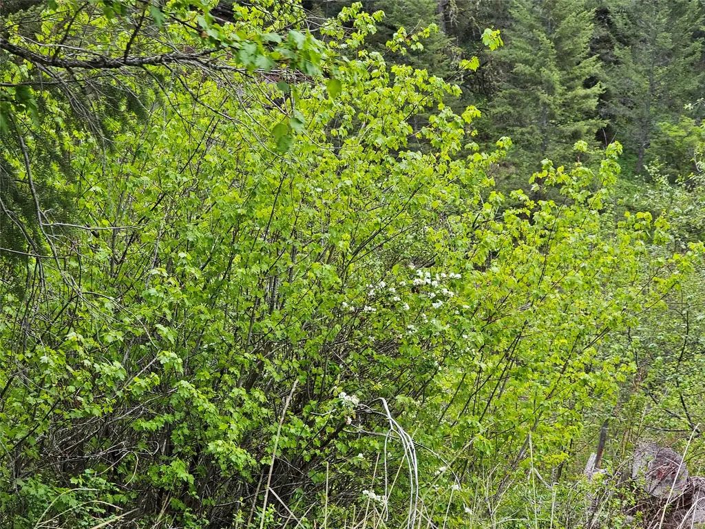 18866 Copper Ridge Trail Florence MT 59833
