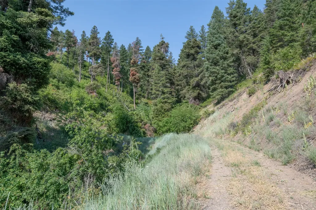 18866 Copper Ridge Trail Florence MT 59833