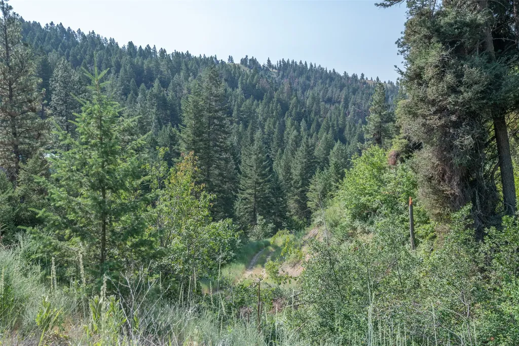18866 Copper Ridge Trail Florence MT 59833