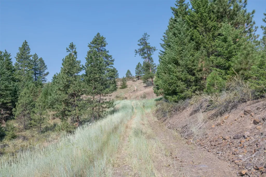 18866 Copper Ridge Trail Florence MT 59833