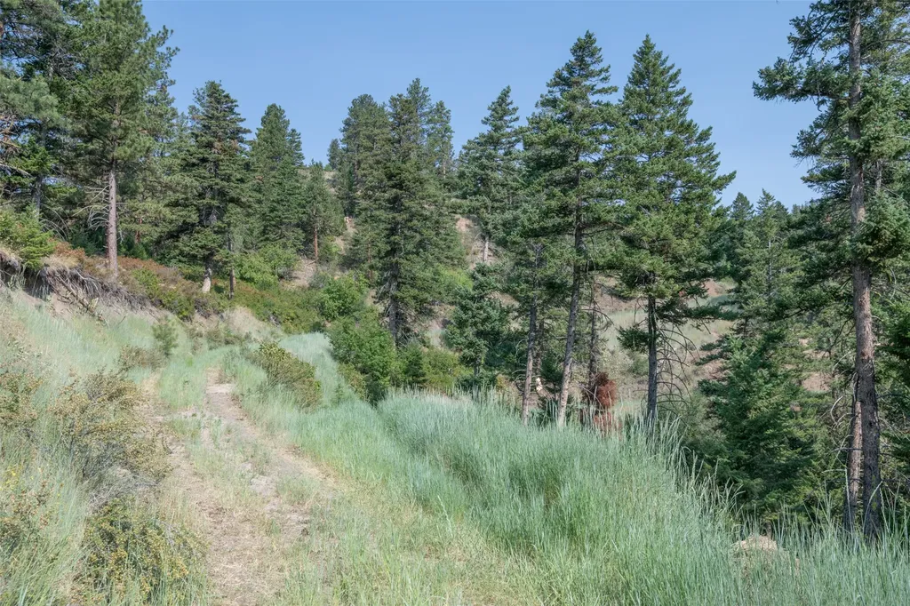 18866 Copper Ridge Trail Florence MT 59833