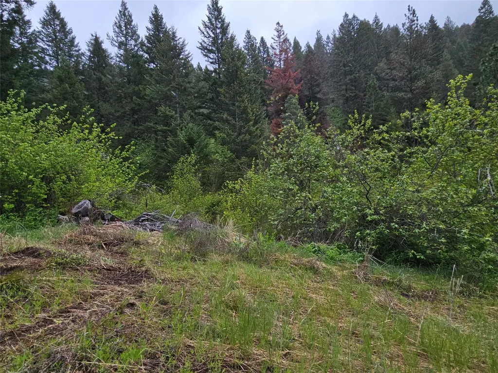 18866 Copper Ridge Trail Florence MT 59833