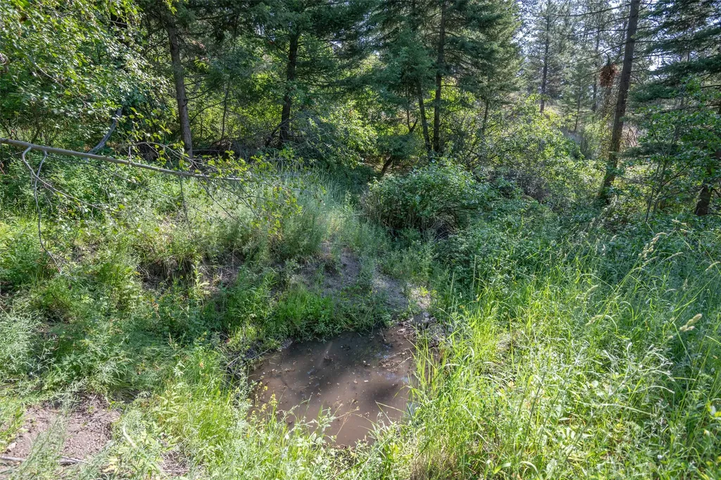 18866 Copper Ridge Trail Florence MT 59833