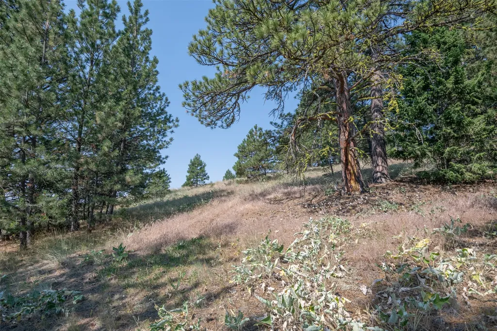 18866 Copper Ridge Trail Florence MT 59833