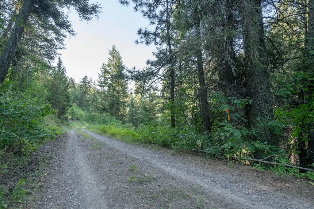 18866 Copper Ridge Trail Florence MT 59833