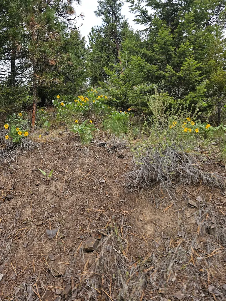 18866 Copper Ridge Trail Florence MT 59833