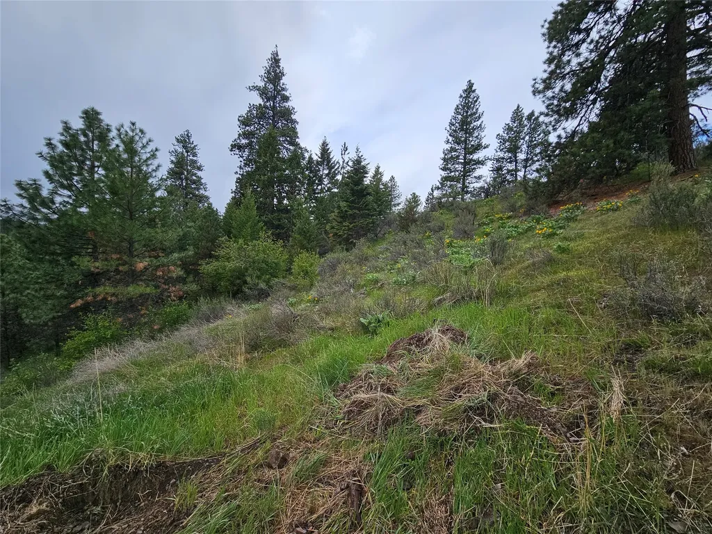 18866 Copper Ridge Trail Florence MT 59833