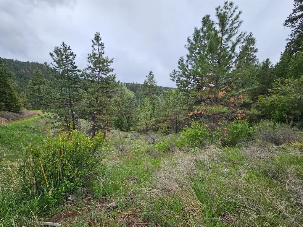 18866 Copper Ridge Trail Florence MT 59833