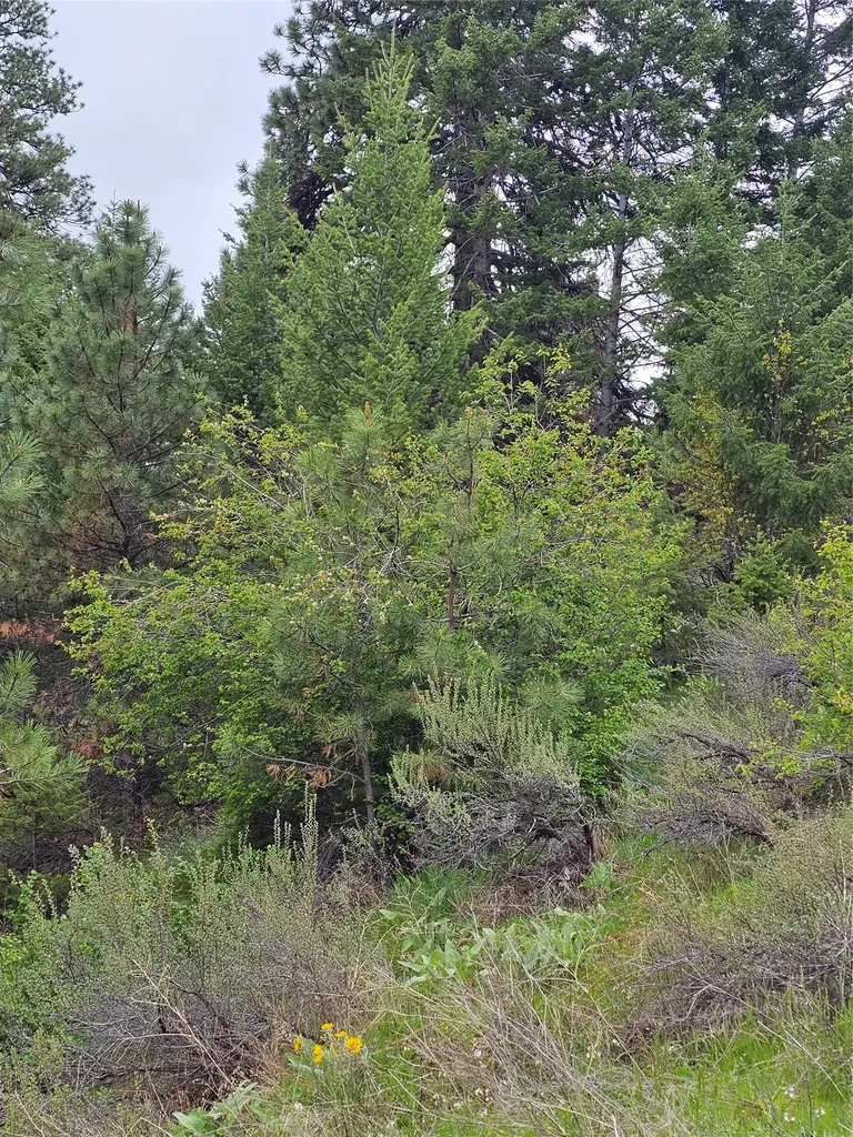 18866 Copper Ridge Trail Florence MT 59833