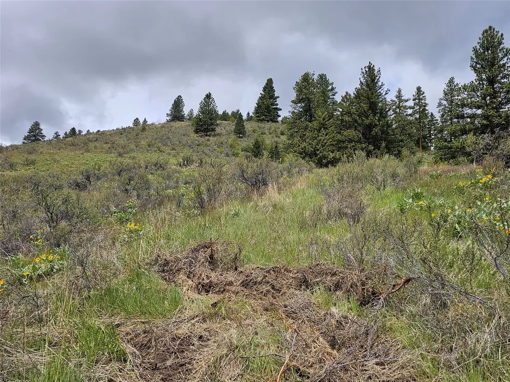 18866 Copper Ridge Trail Florence MT 59833