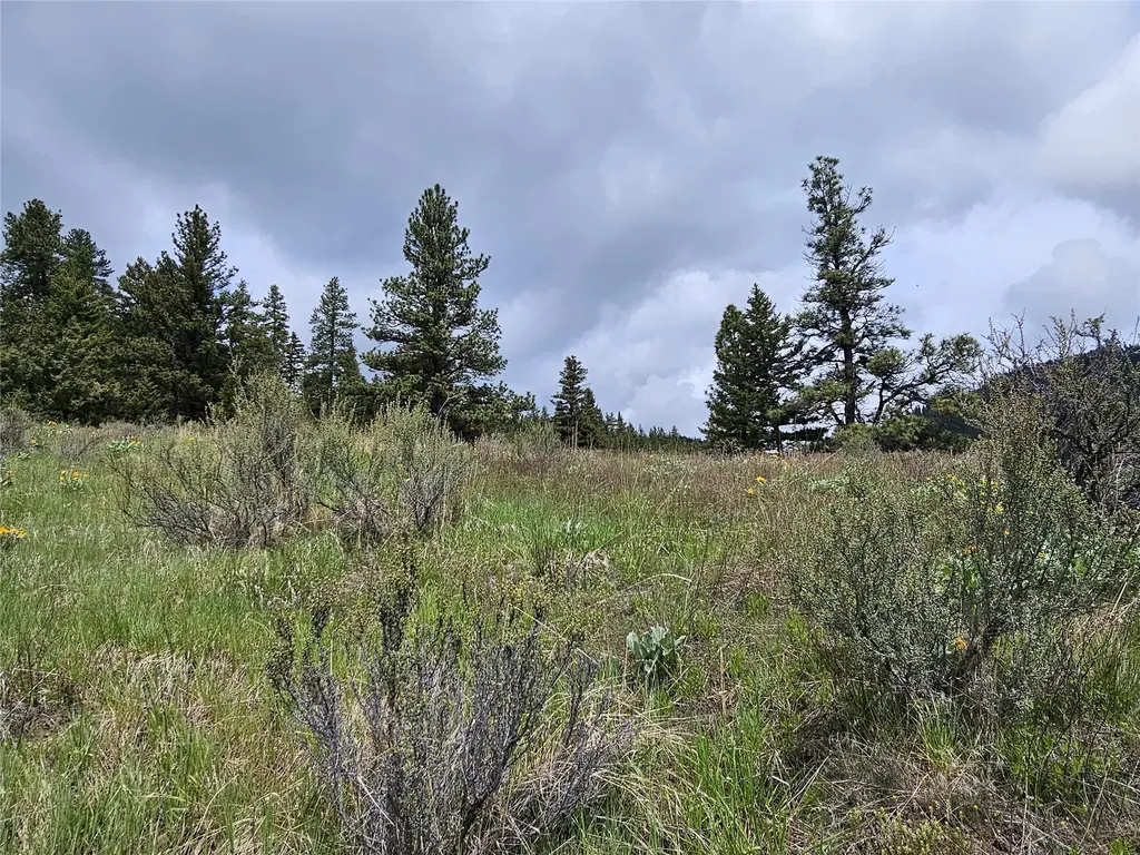 18866 Copper Ridge Trail Florence MT 59833
