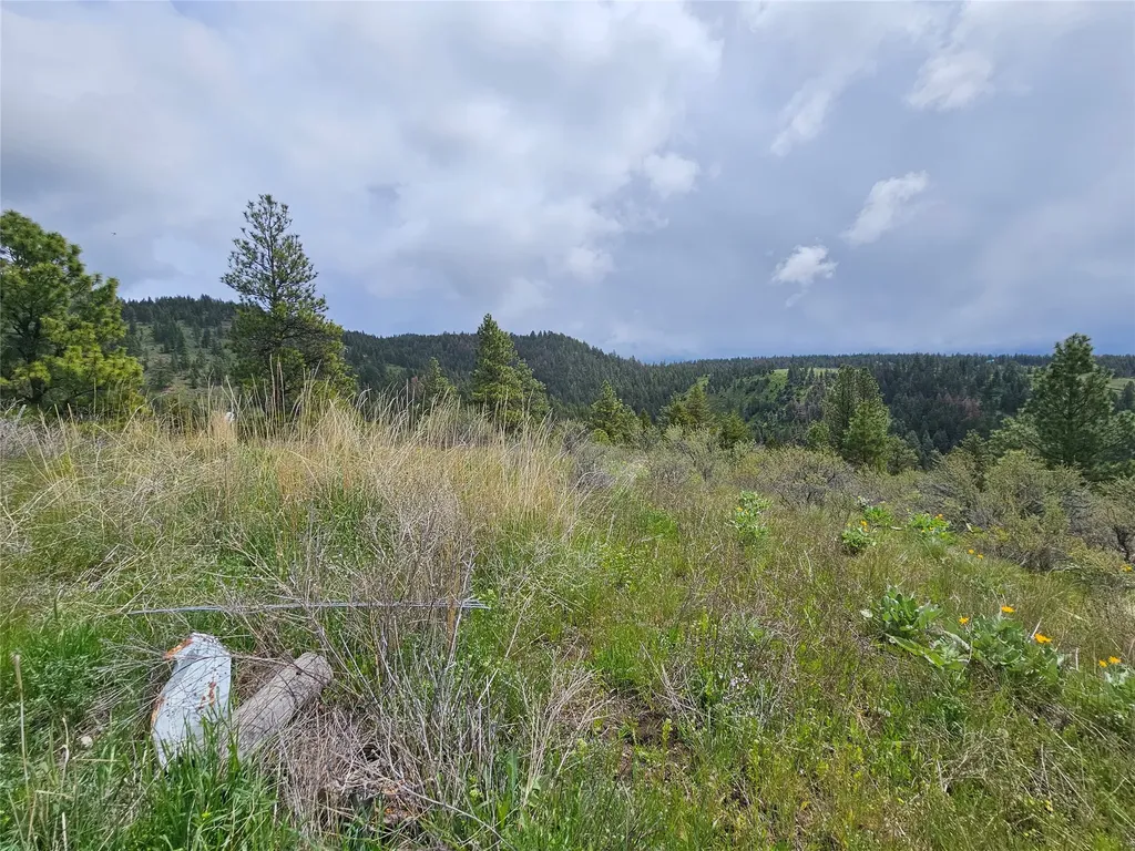 18866 Copper Ridge Trail Florence MT 59833