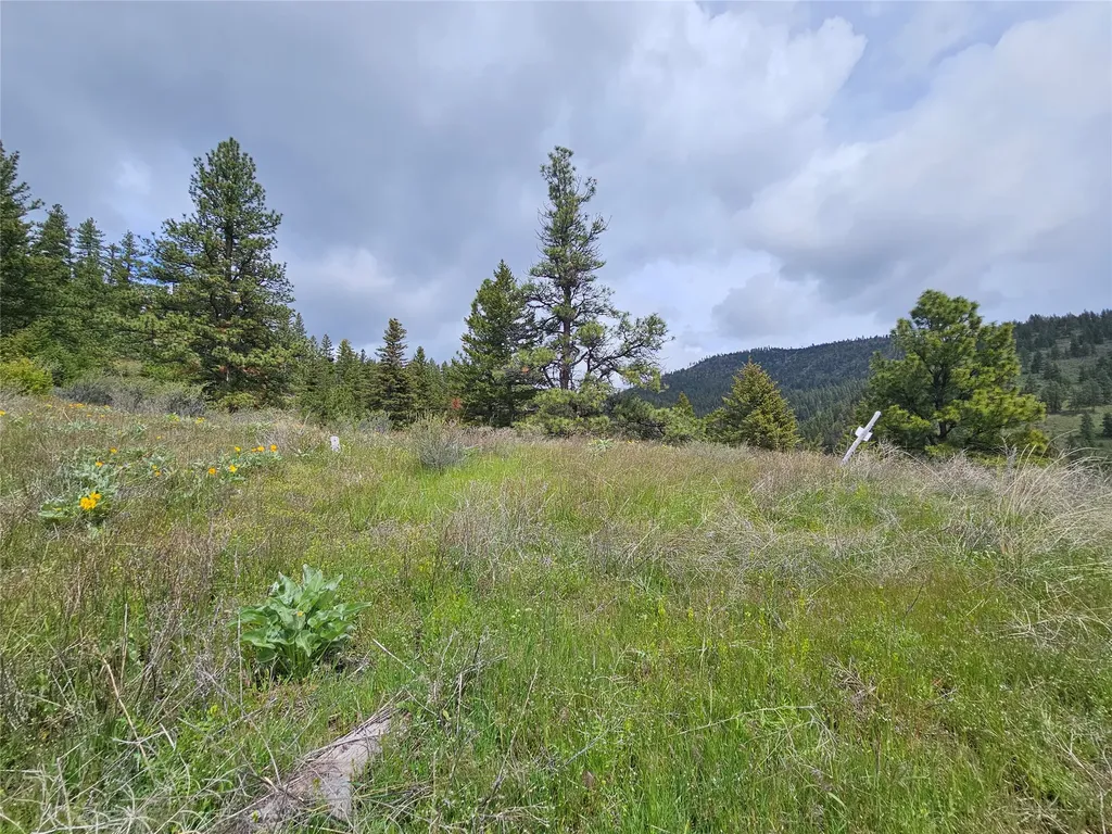 18866 Copper Ridge Trail Florence MT 59833
