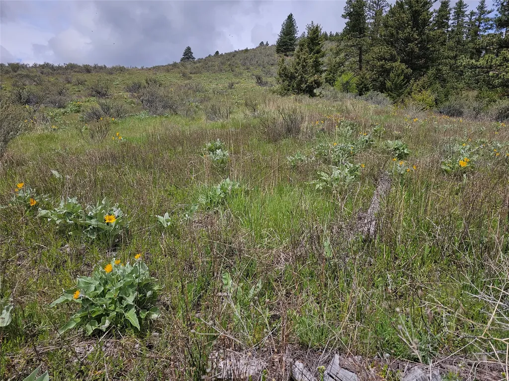 18866 Copper Ridge Trail Florence MT 59833