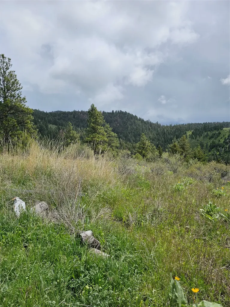 18866 Copper Ridge Trail Florence MT 59833