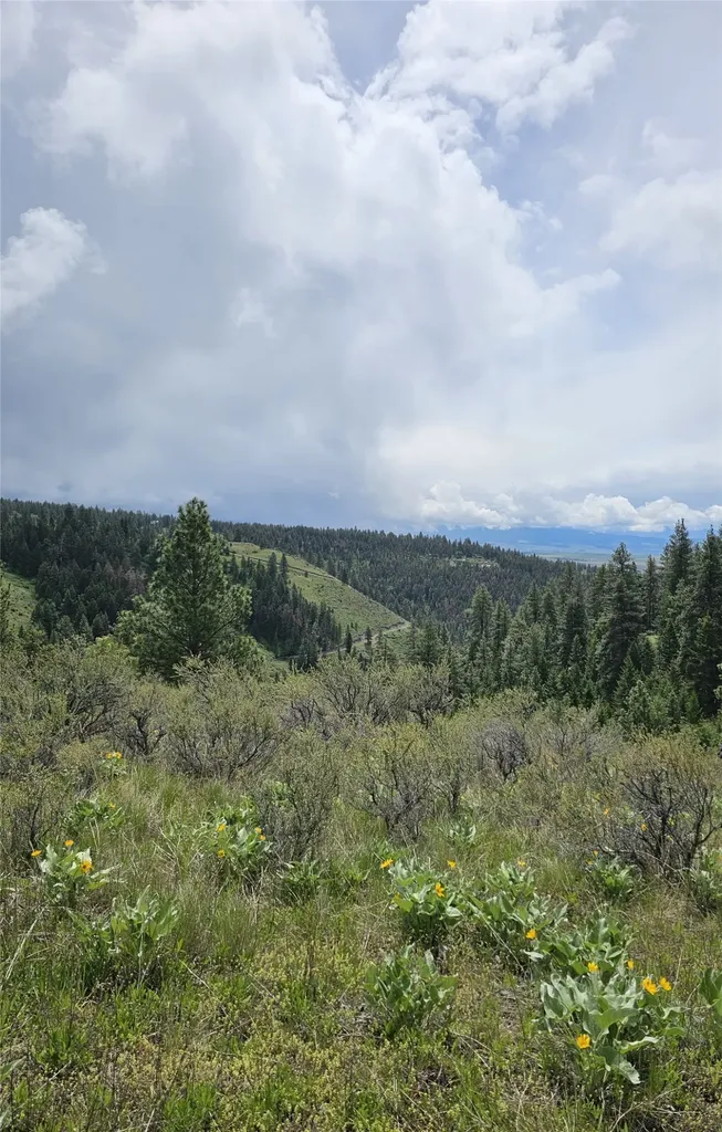 18866 Copper Ridge Trail Florence MT 59833