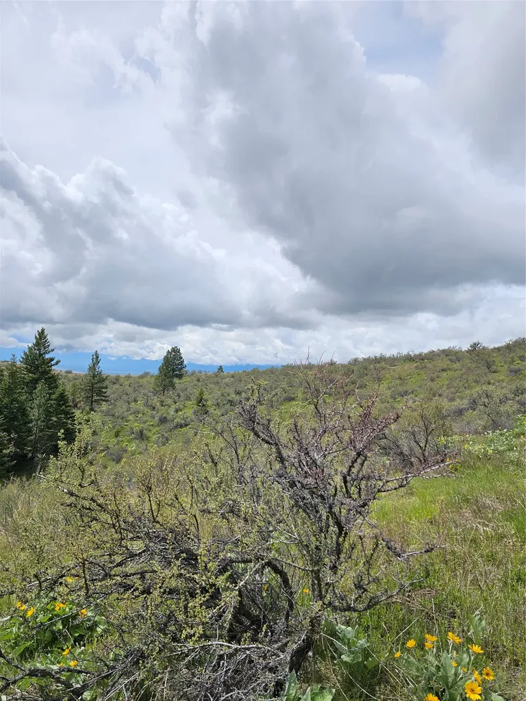 18866 Copper Ridge Trail Florence MT 59833