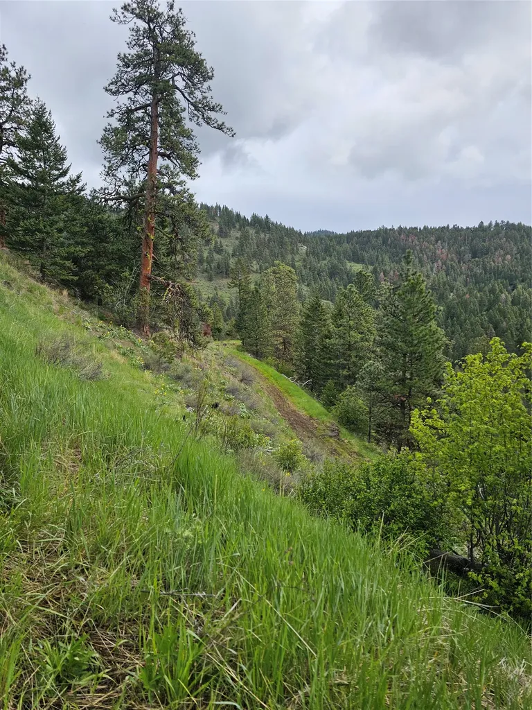 18866 Copper Ridge Trail Florence MT 59833