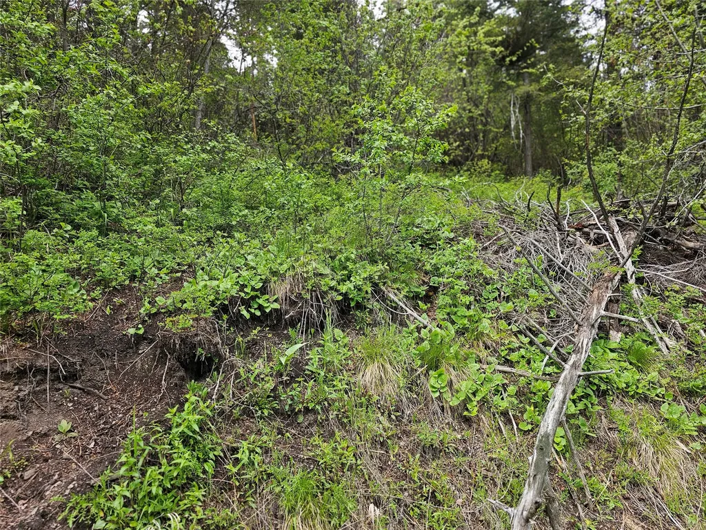 18866 Copper Ridge Trail Florence MT 59833
