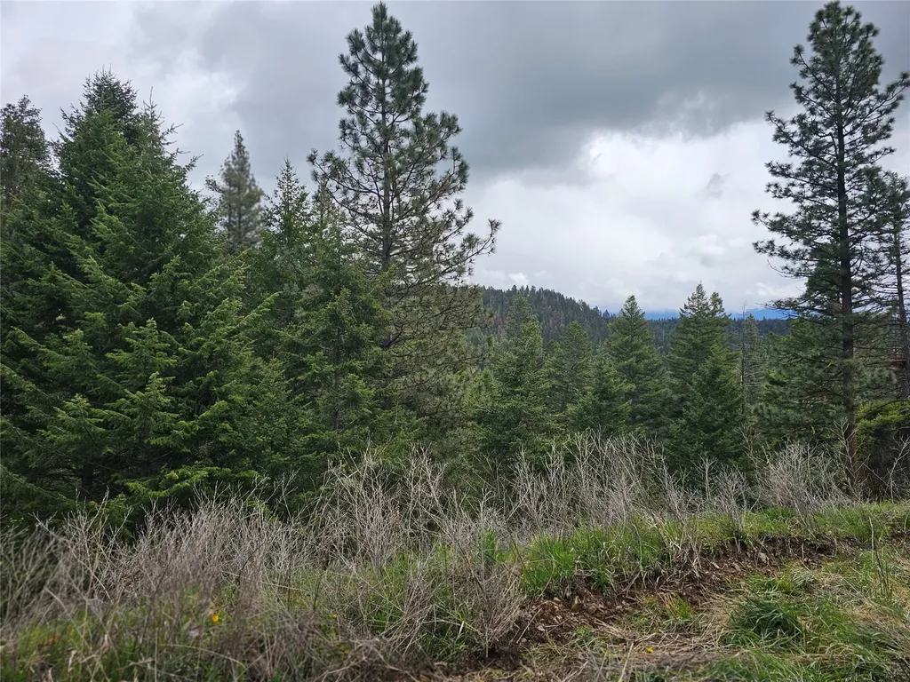 18866 Copper Ridge Trail Florence MT 59833