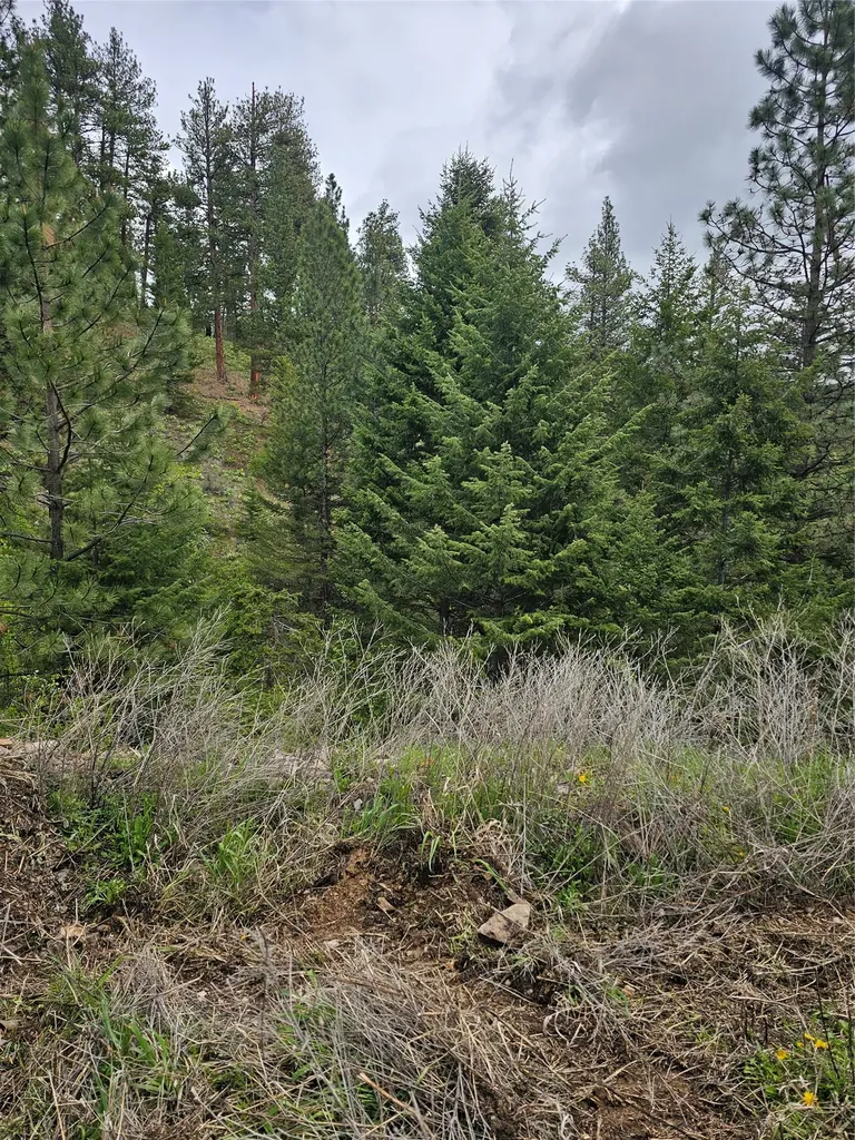 18866 Copper Ridge Trail Florence MT 59833