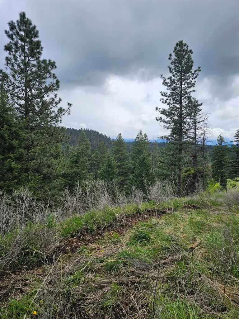 18866 Copper Ridge Trail Florence MT 59833