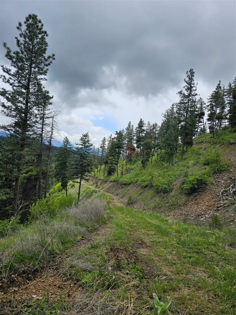 18866 Copper Ridge Trail Florence MT 59833