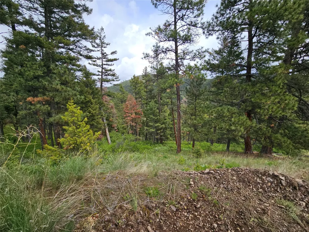 18866 Copper Ridge Trail Florence MT 59833