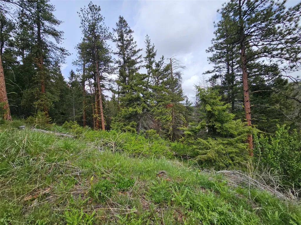 18866 Copper Ridge Trail Florence MT 59833