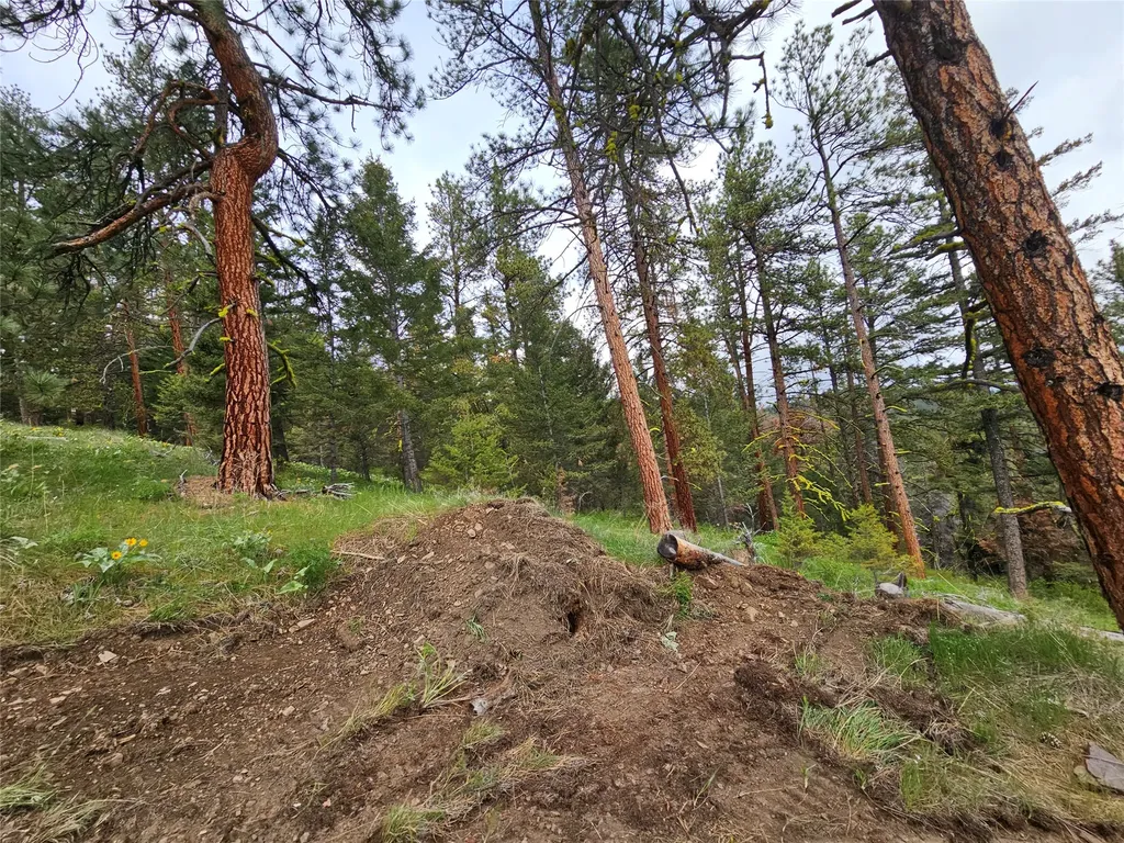 18866 Copper Ridge Trail Florence MT 59833