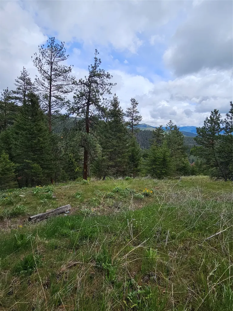 18866 Copper Ridge Trail Florence MT 59833