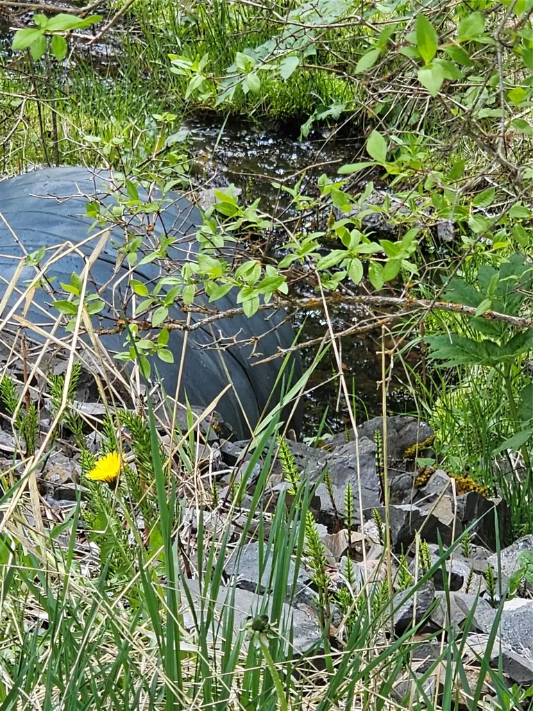 18866 Copper Ridge Trail Florence MT 59833