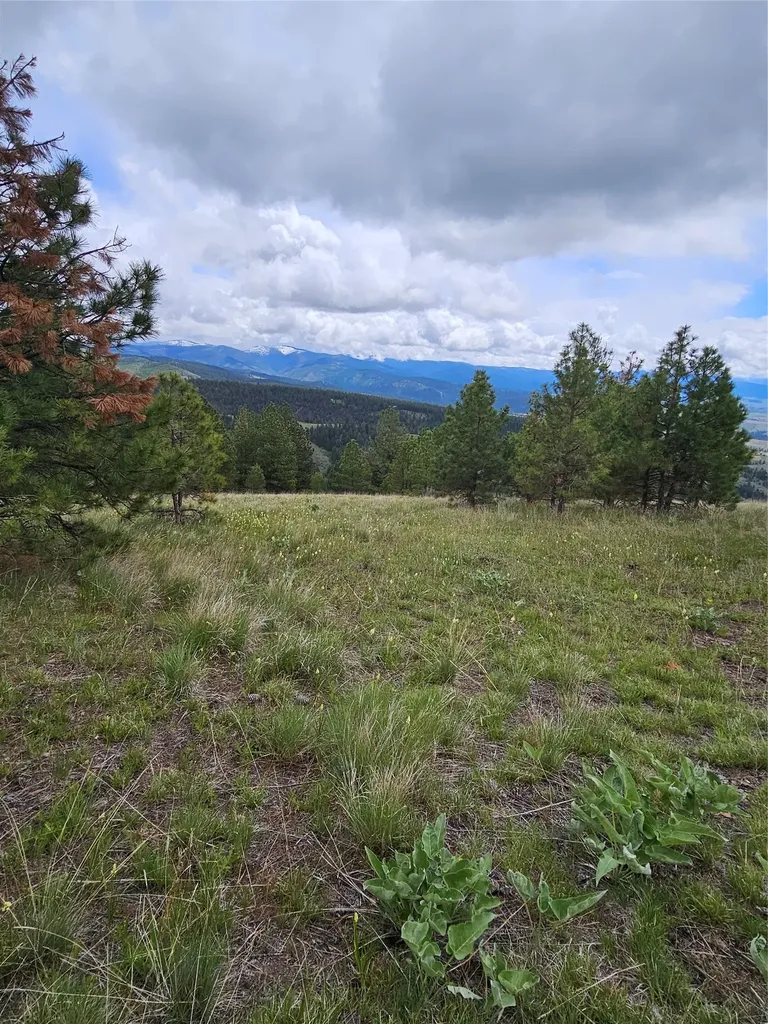 18866 Copper Ridge Trail Florence MT 59833