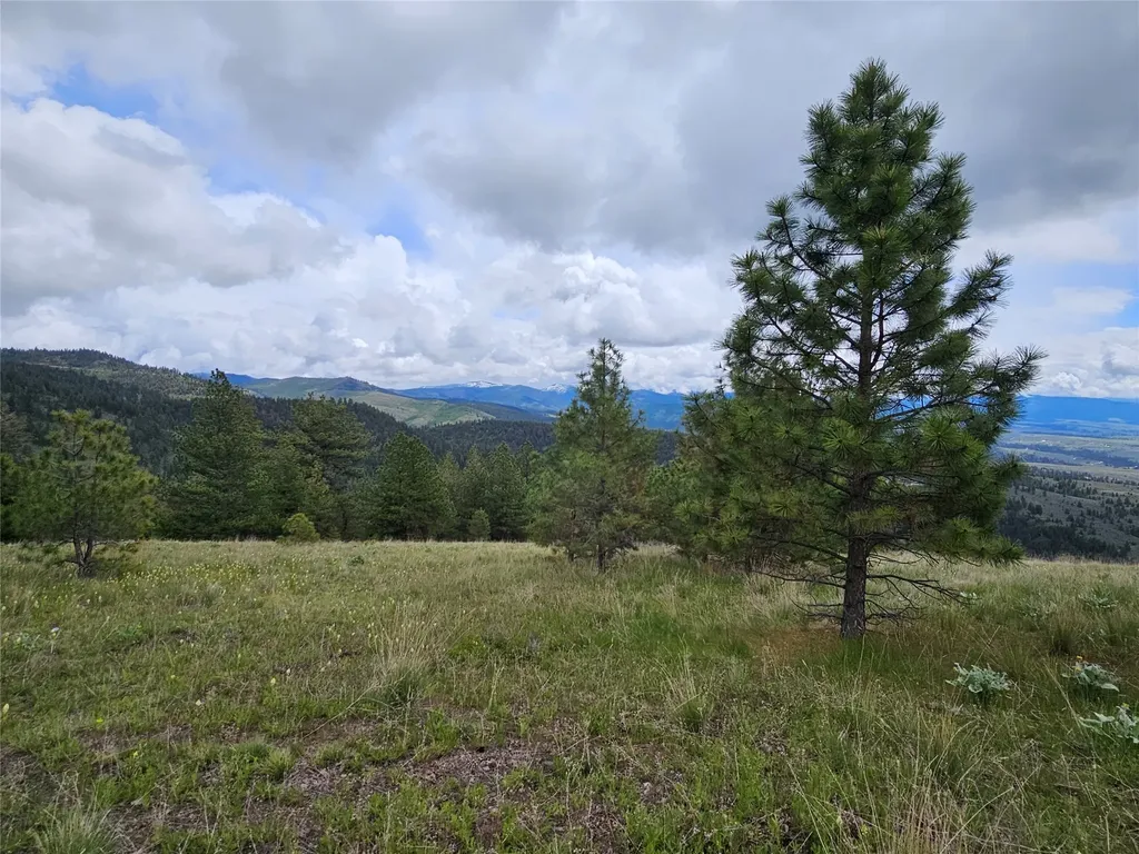 18866 Copper Ridge Trail Florence MT 59833