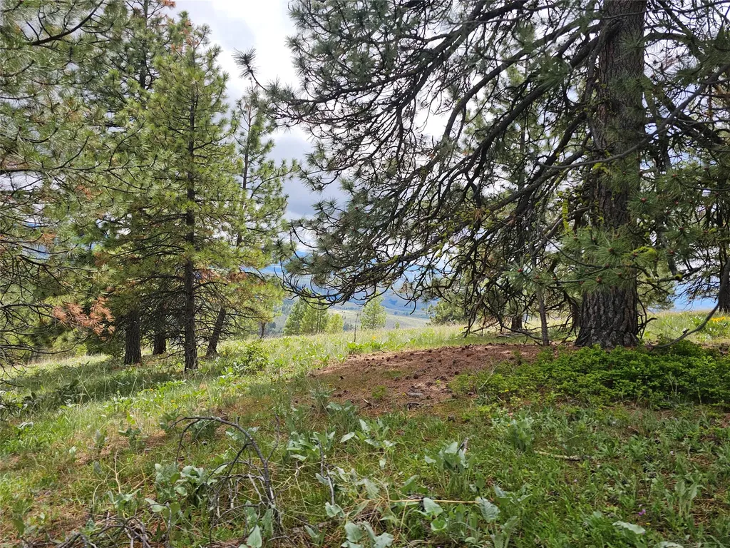 18866 Copper Ridge Trail Florence MT 59833