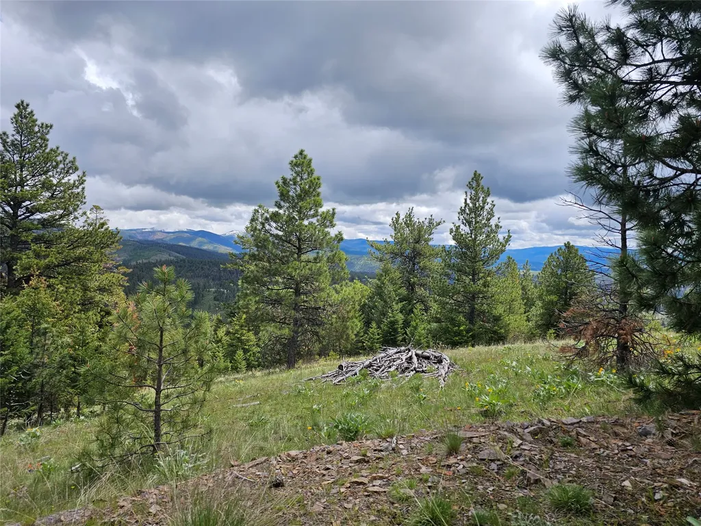 18866 Copper Ridge Trail Florence MT 59833
