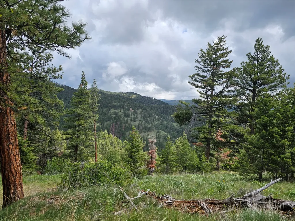 18866 Copper Ridge Trail Florence MT 59833