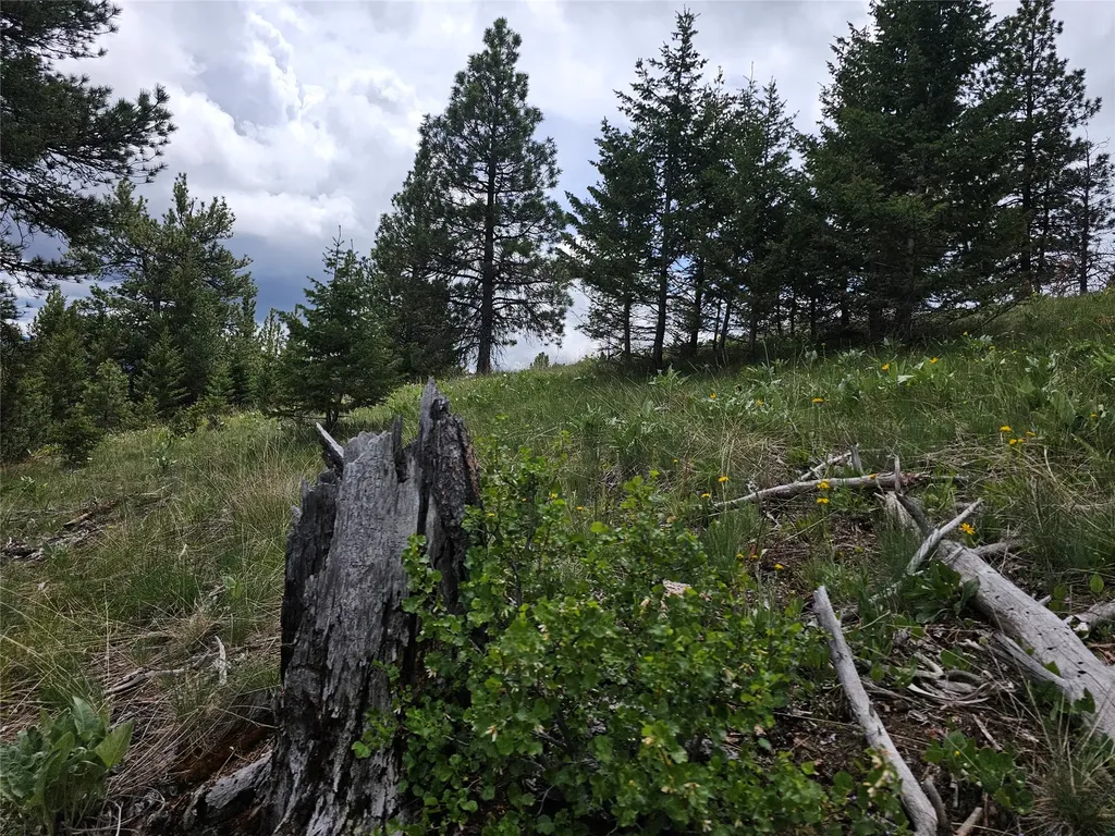 18866 Copper Ridge Trail Florence MT 59833