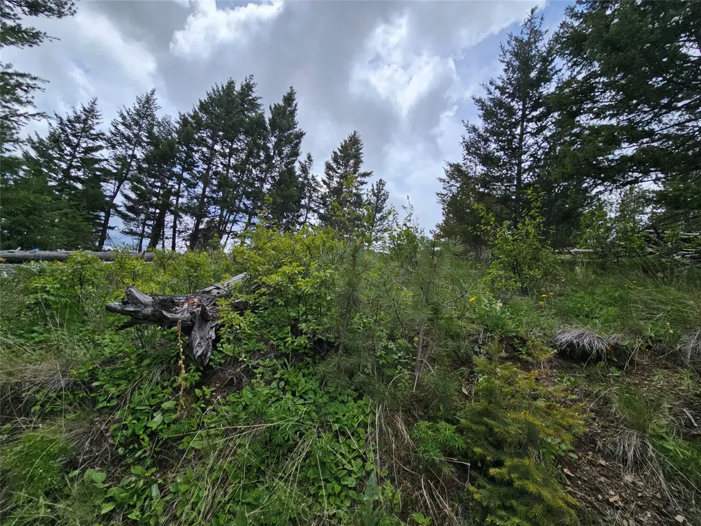 18866 Copper Ridge Trail Florence MT 59833