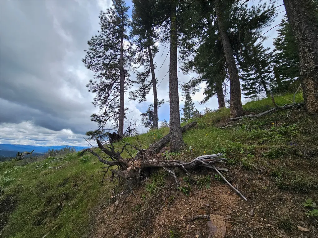 18866 Copper Ridge Trail Florence MT 59833