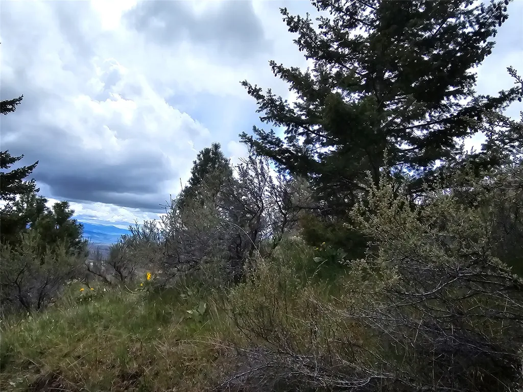 18866 Copper Ridge Trail Florence MT 59833
